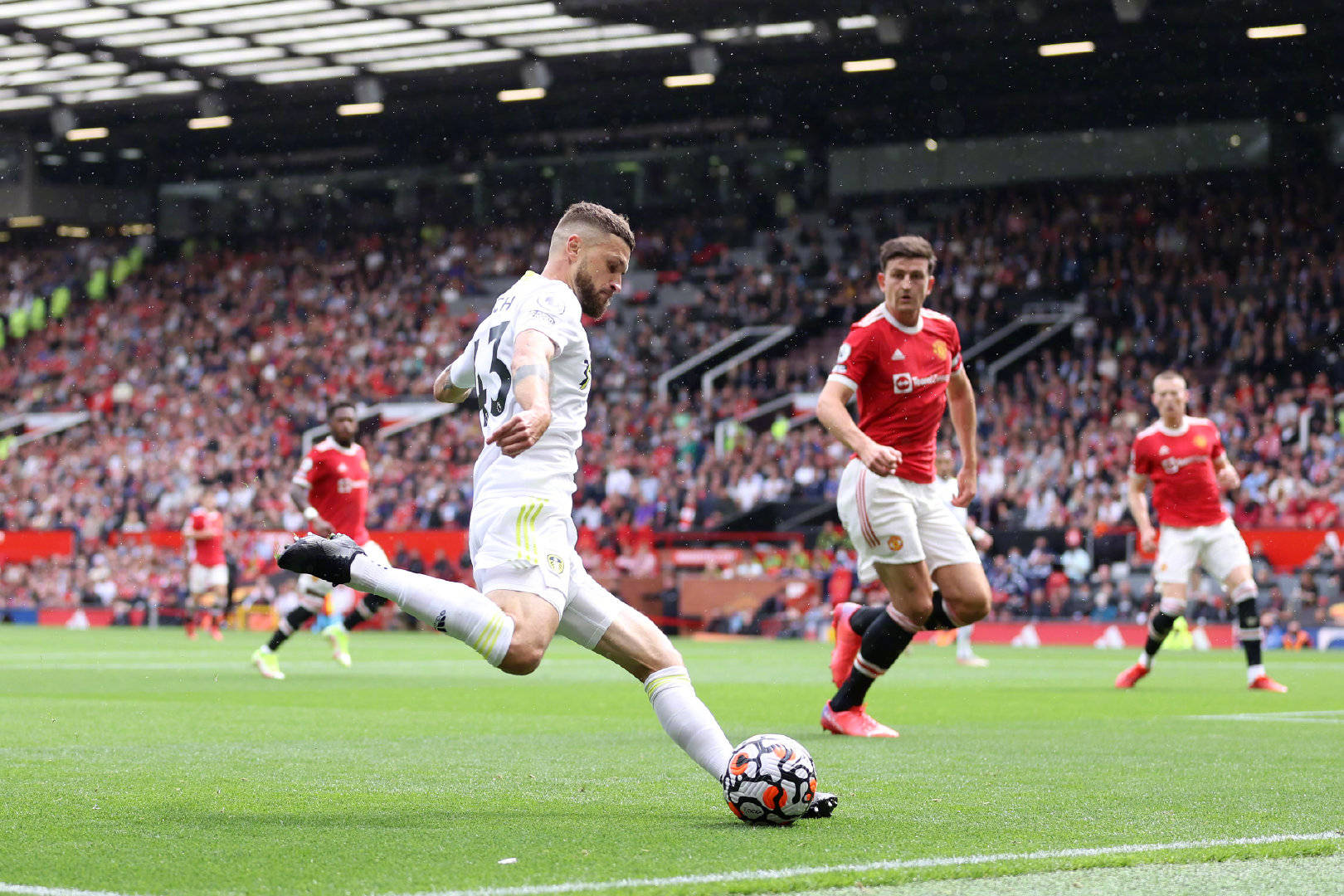 展示了出色 展示了出色